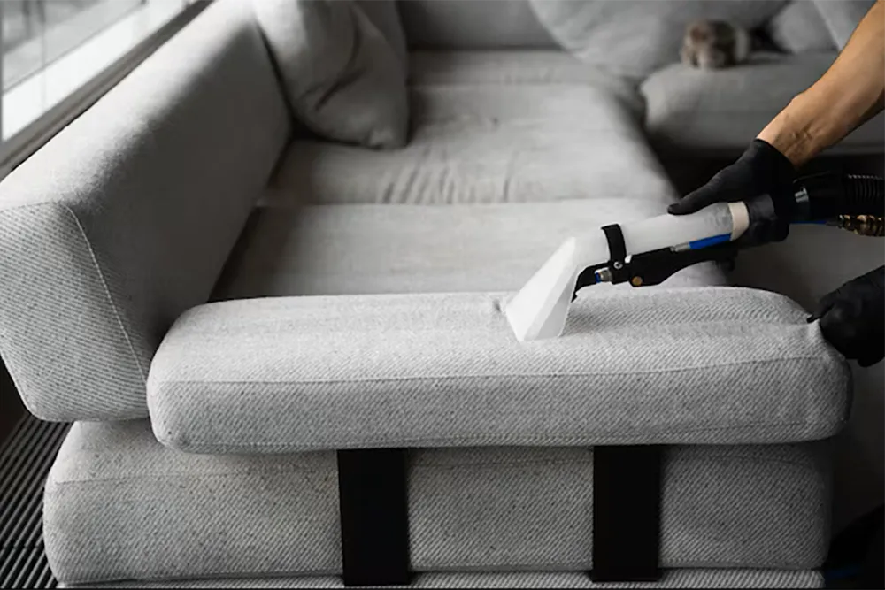 Upholstery Cleaning