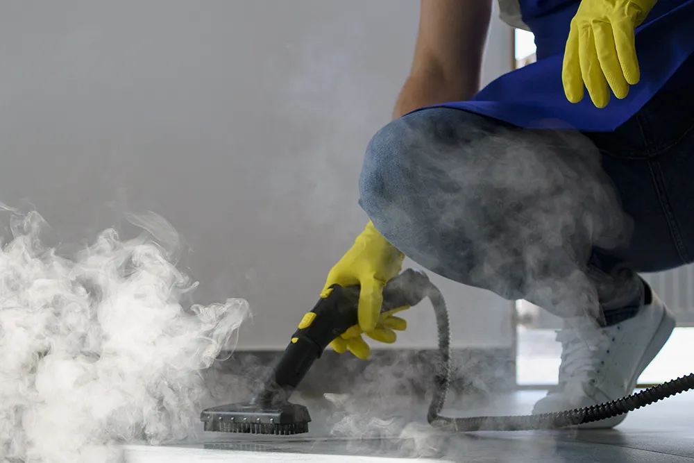 Carpet Cleaning